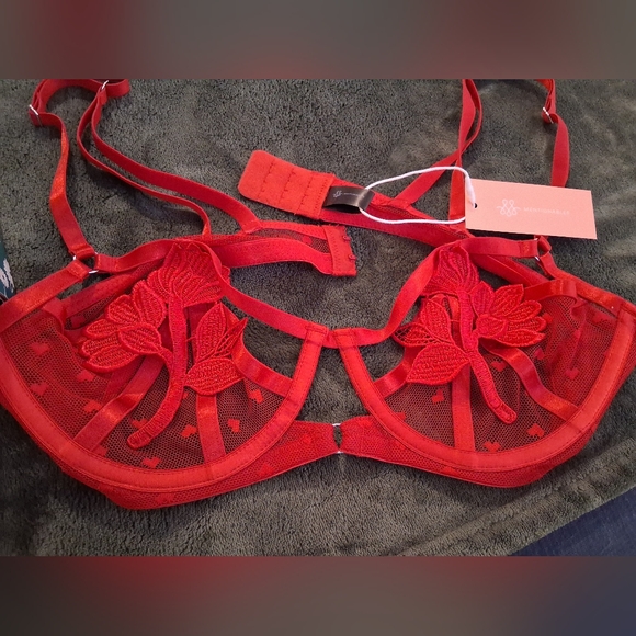 Elegant Red Lace Bra - Picture 1 of 4